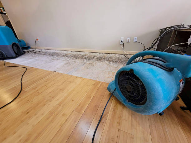 Professional Emergency Water Damage technician working in Hooper, UT